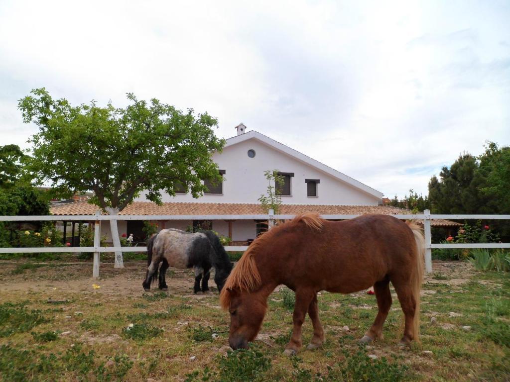 Los Laureles Casa Rural Urda Exterior photo